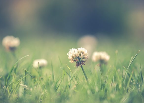 Choisir un funérarium à Rueil-Malmaison